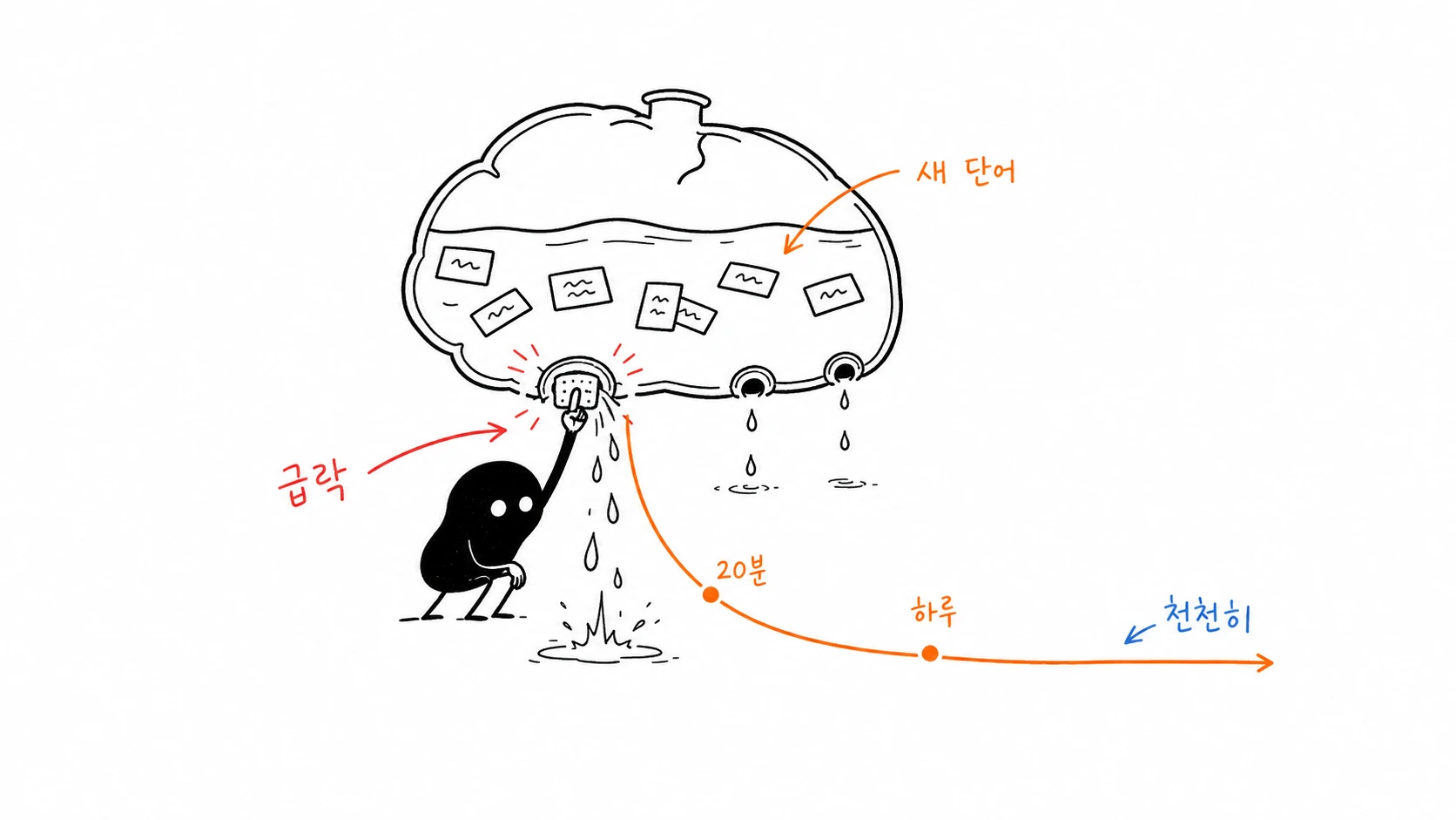 갓 배운 단어가 뇌 모양 물통 바닥의 가장 큰 구멍으로 가장 빠르게 새어 나가고, 시간이 지날수록 유출 속도가 느려지는 모습