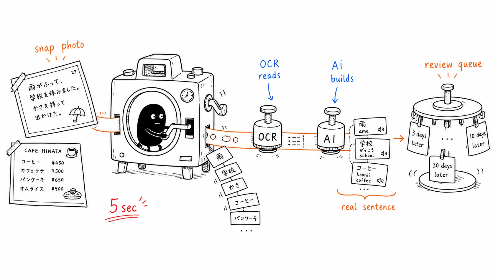 A photo goes through OCR and AI to become flashcards in the review queue
